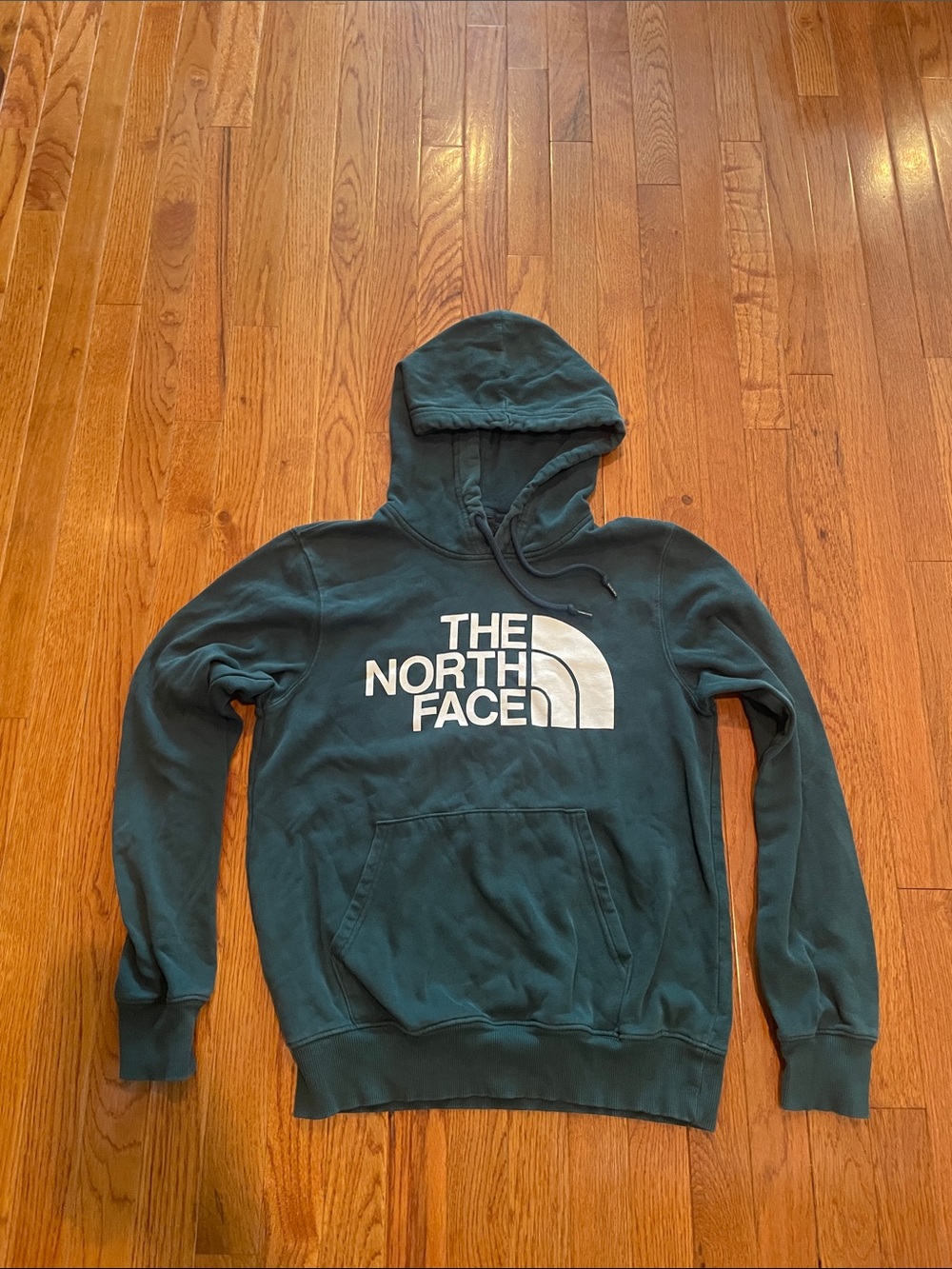The North Face Men's Hooded Sweatshirt in Teal with White Logo